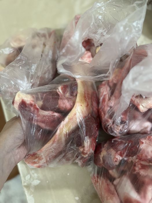 Корм для собак и кошек