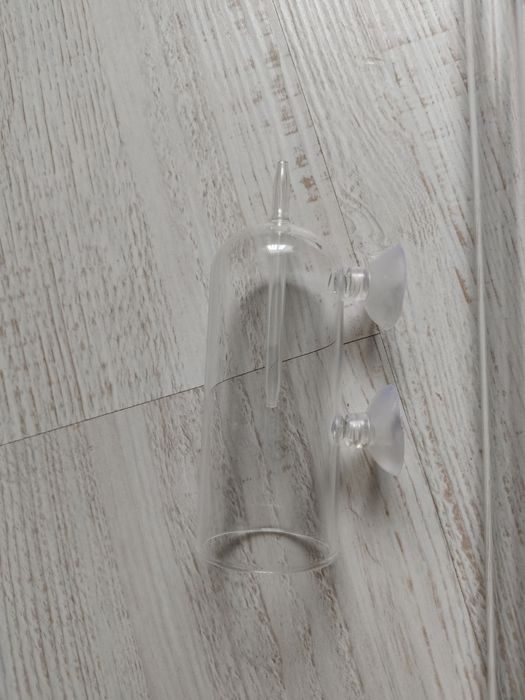 Конус для нереста Скалярий, Дискусов.