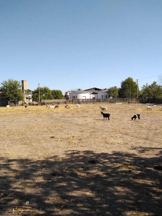 Teren intravilan generos