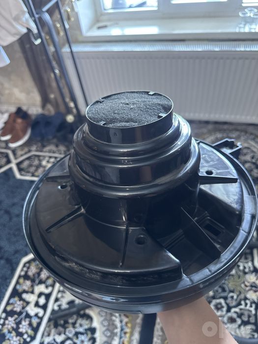 Changyutgich Magna