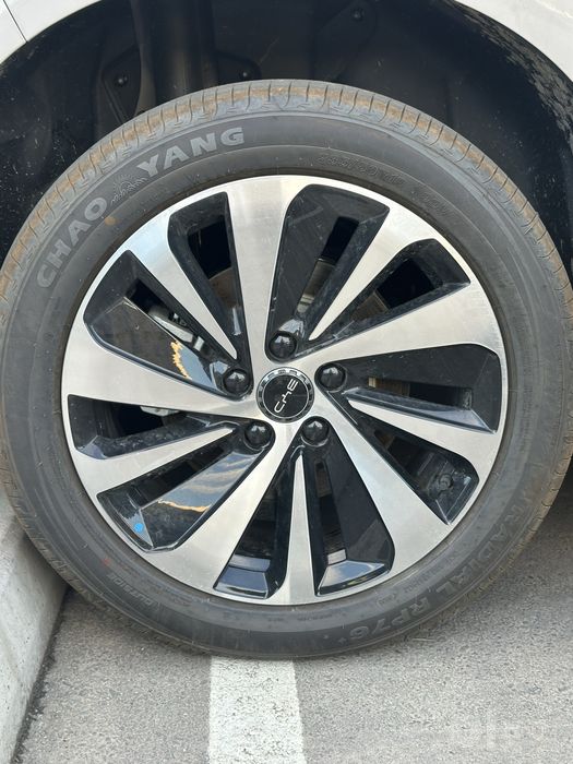 Byd Seo lion 06 520 / бвд / силайн / seolion / silayn / EV