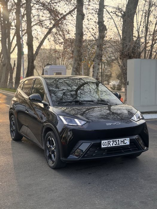 BYD Seagul 405 tali 2023 yil