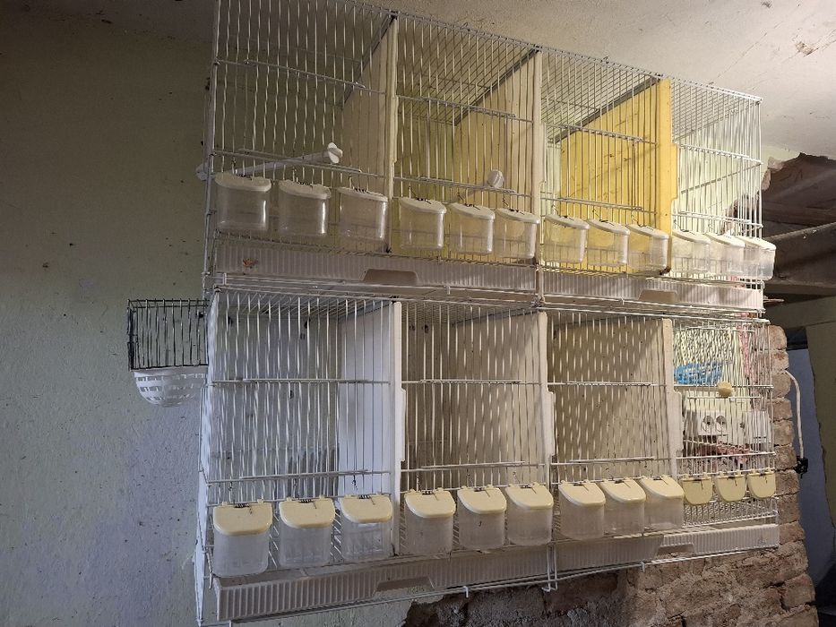 Клетки за птички