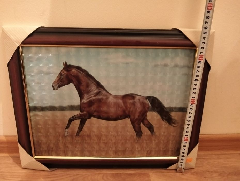 Картина про коней