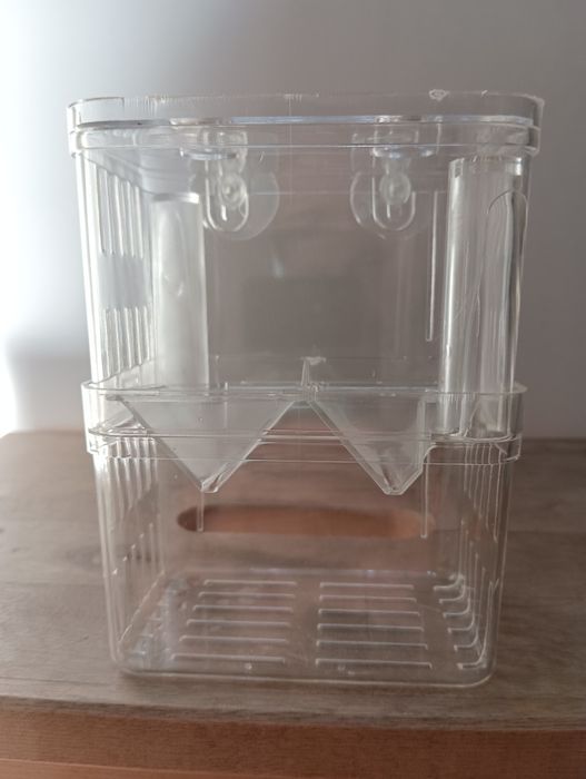 Отсадники для рыбок