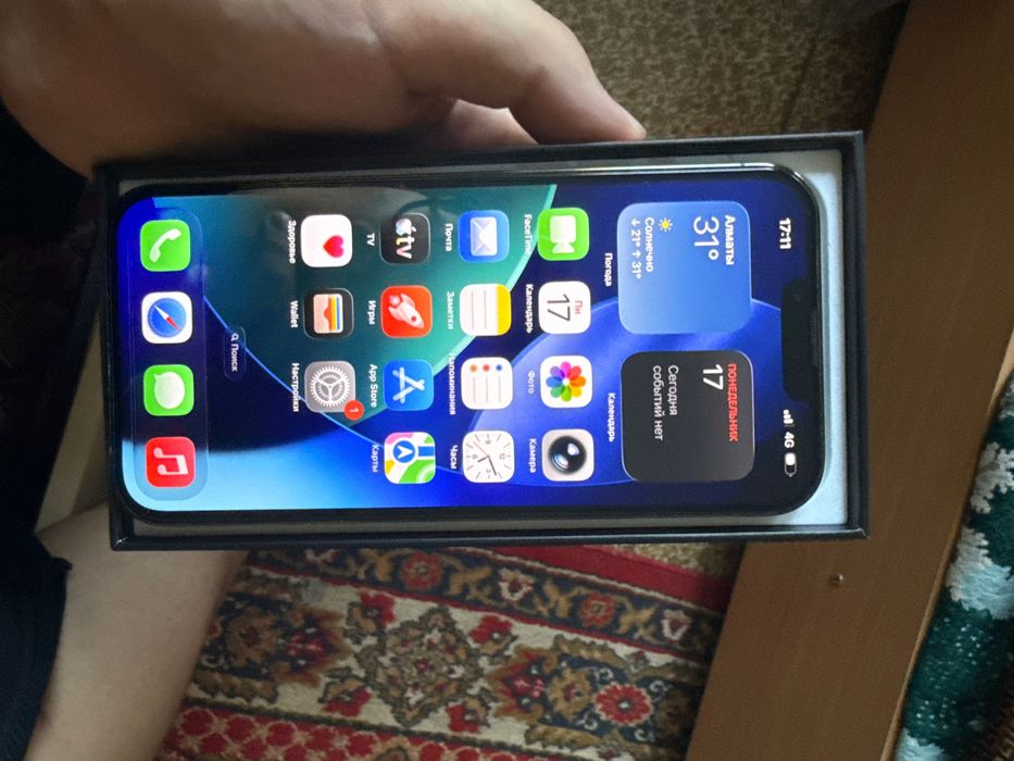 Iphone 13 pro max