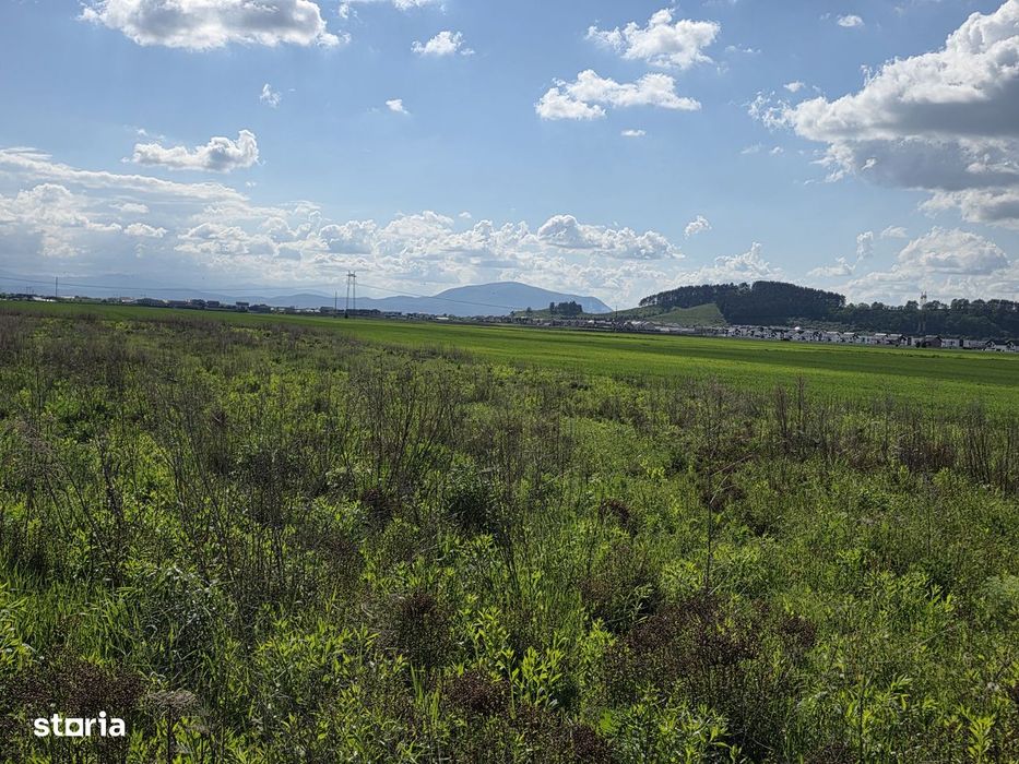 Teren Aleea 14 Hărman