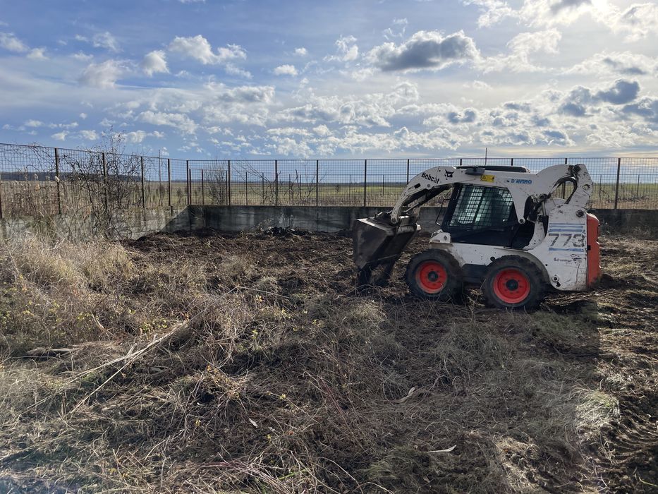 Evacuare pamant excavat resturi vegetale crengi gazon