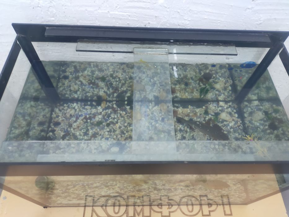 Аквариум 80 литров