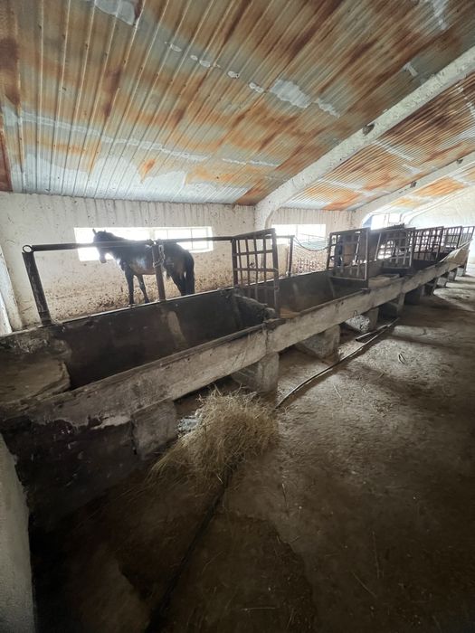 Мал бордақылау алаңы жалға беріледі