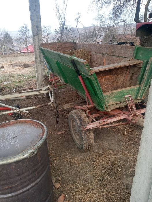 Căruța straf după cai