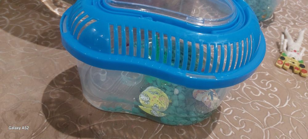 Продам черепашку