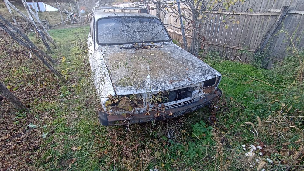 Ochelari faruri  grila