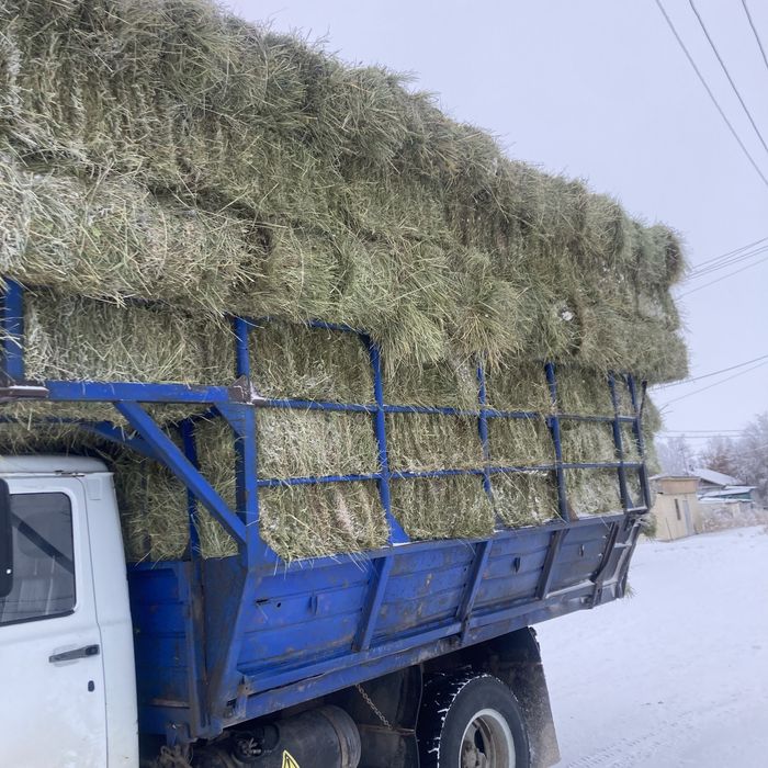 Сено Тюки Рулон…..