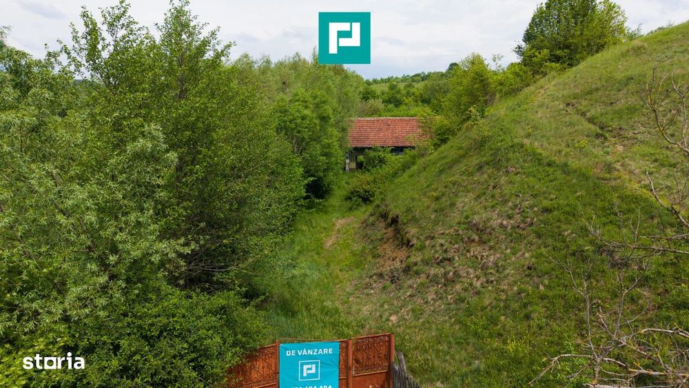 Proprietate de poveste pe Valea Mureșului, Lupești