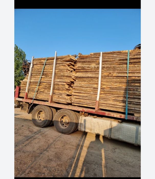 Cherestea TEI,STEJAR,FRASIN jud.Tulcea