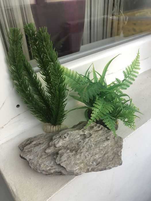 Plante acvariu decor acvariu - livrare gratuita