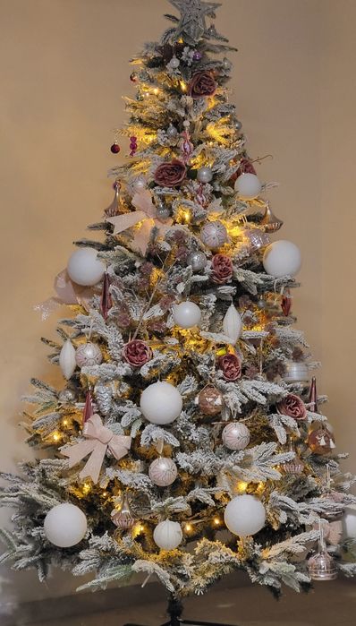 Brad nins,2.10m cu toate accesoriile