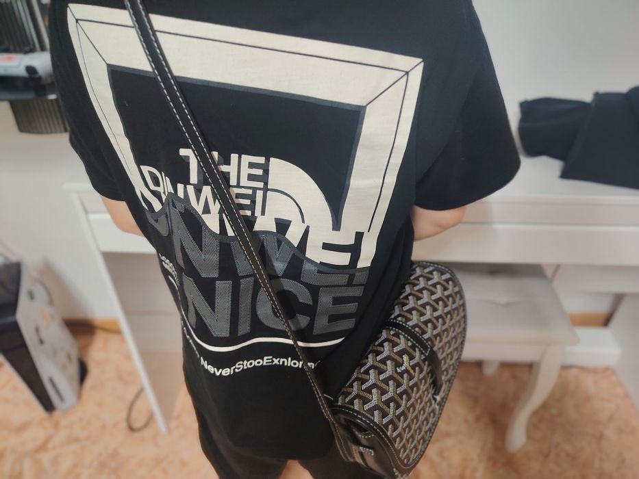 Сумка Goyard No More Paris