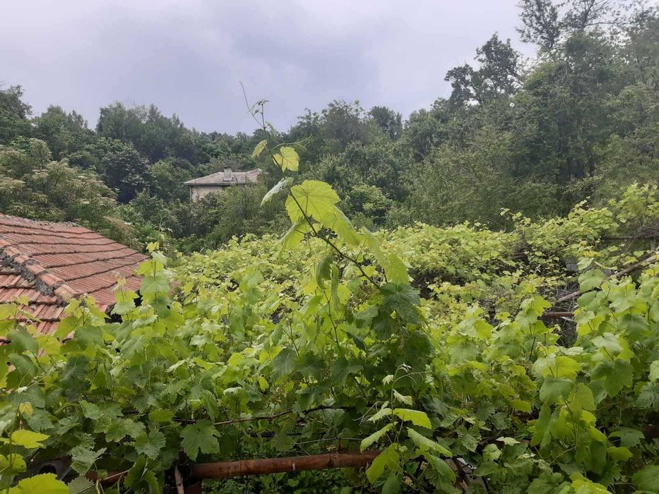 Продава се Къща в с. Живко, Област Габрово - 78 кв.м за 451 €/кв.м - Снимка #3