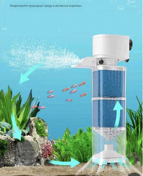 Akvarium baliqlar,filtrlar, korm hammasi arzon narxlarda AquaGear