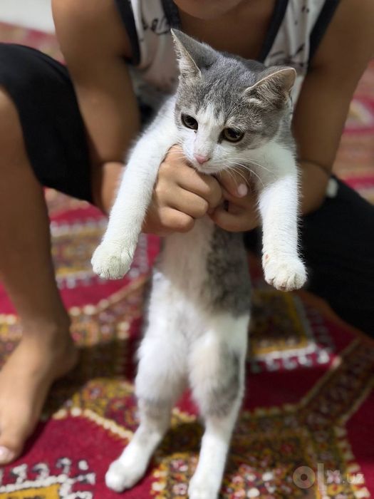 Hadiyaga beriladi