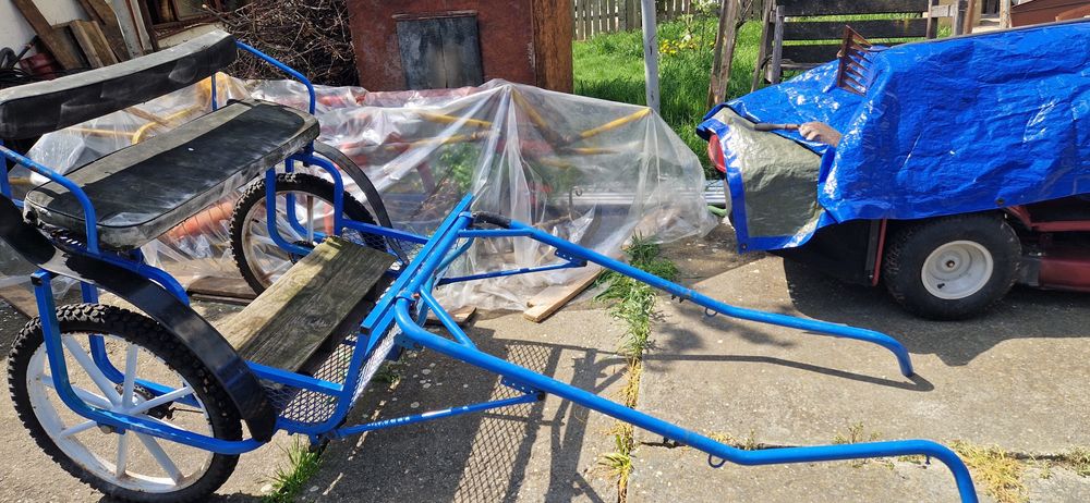 Șaretă ponei sau cal talie mică