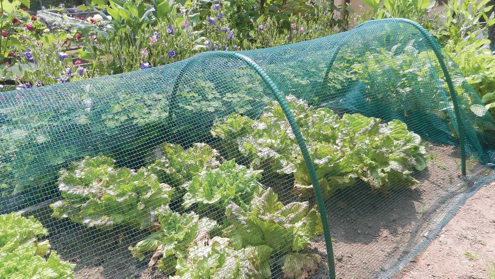 Сетка для птиц пластиковая