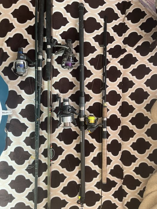 vand undite stare fiarte buna