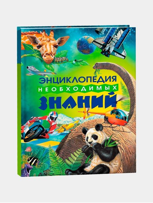 Доставка. Большая книга вопросов и ответов Что? зачем? почему?