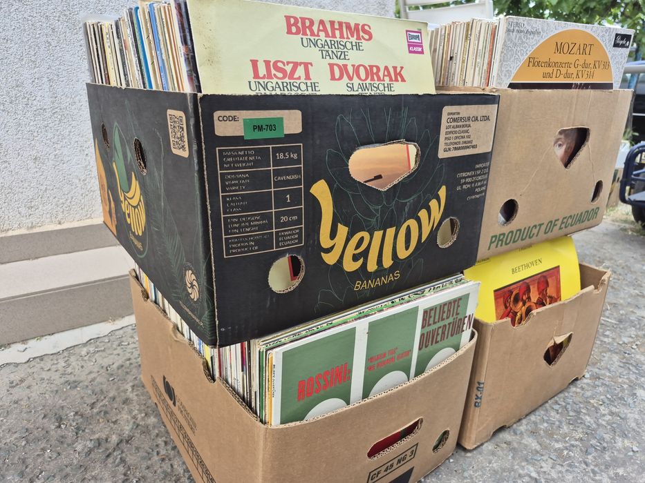 Vând Lot 100 Discuri Vinil colectie muzica clasica mixta