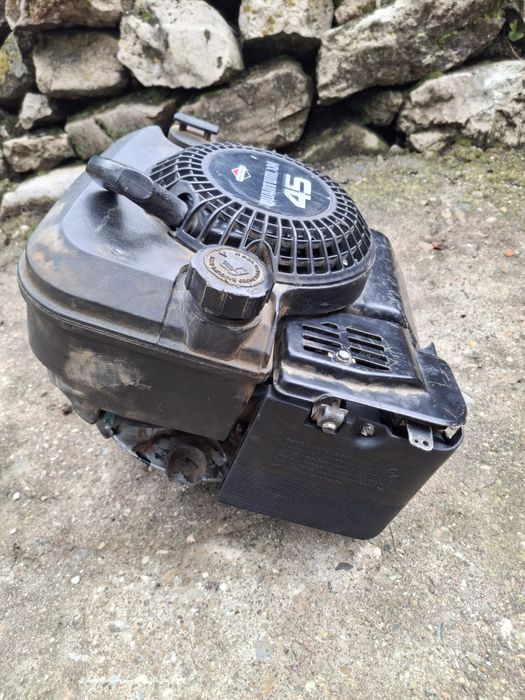 Двигател Briggs  Stratton, Бригс Страйшън