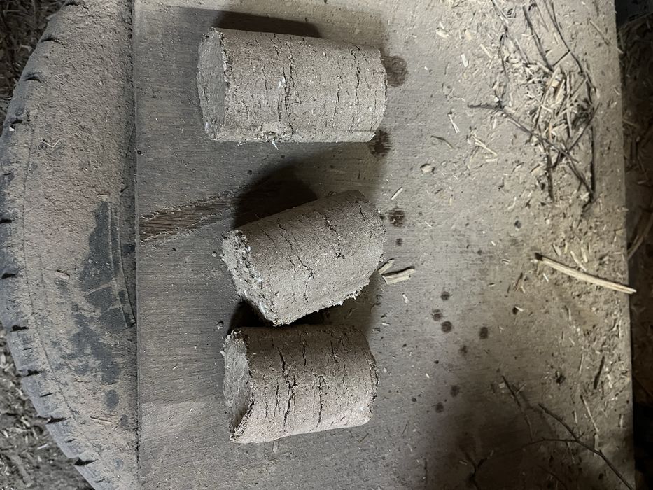 brichiete foc brad si sejar