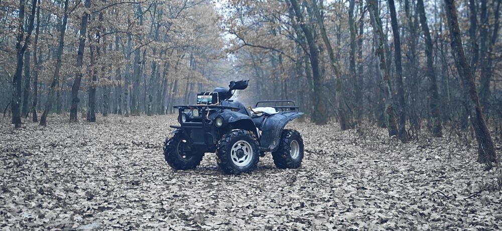 De vanzare linhai 300