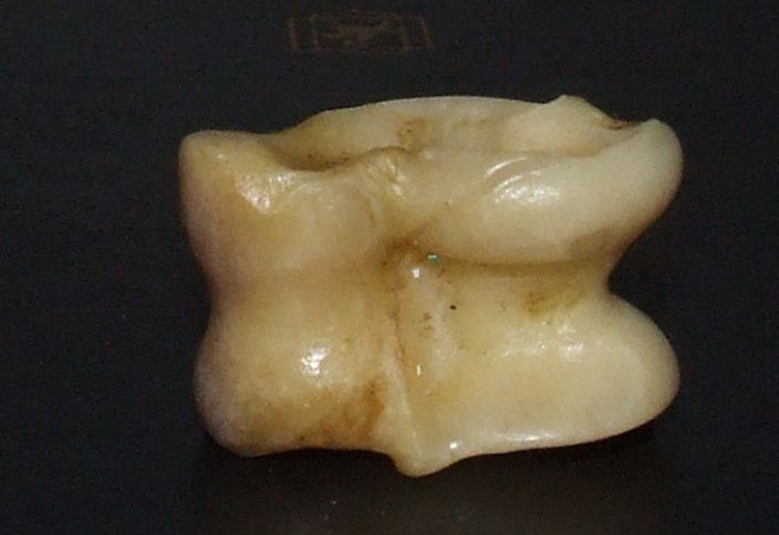 Табиғи асықтар сатамыз