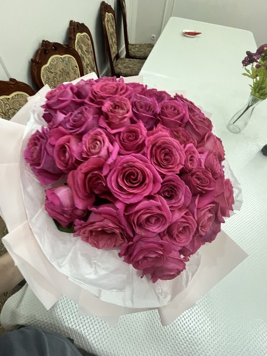 51 РОЗА куплен сегодня