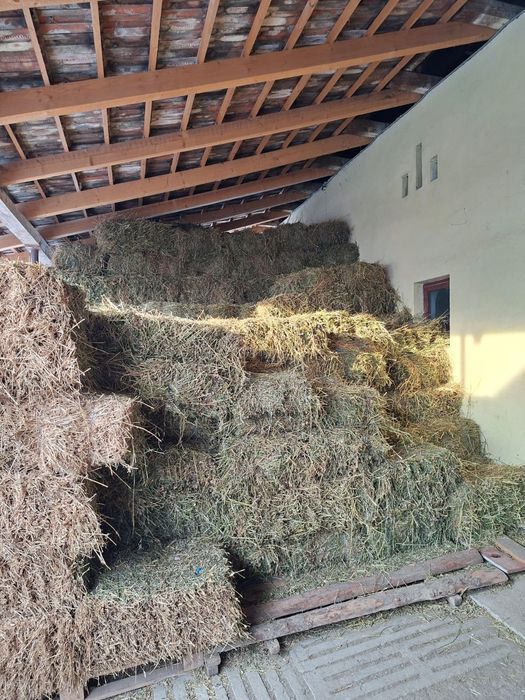 Vand baloți de lucernă