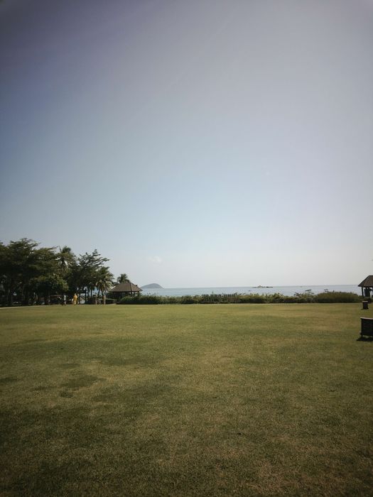 Paper shoot ПапШут фотокамера