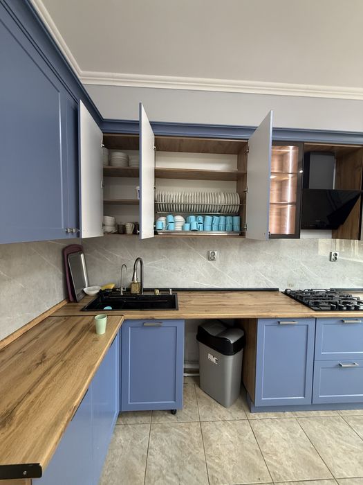 Кухонный гарнитур с техникой