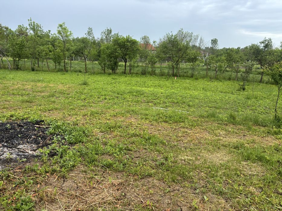 Vand teren In Recas sat Petrovaselo 1050 mp 19999 euro!!