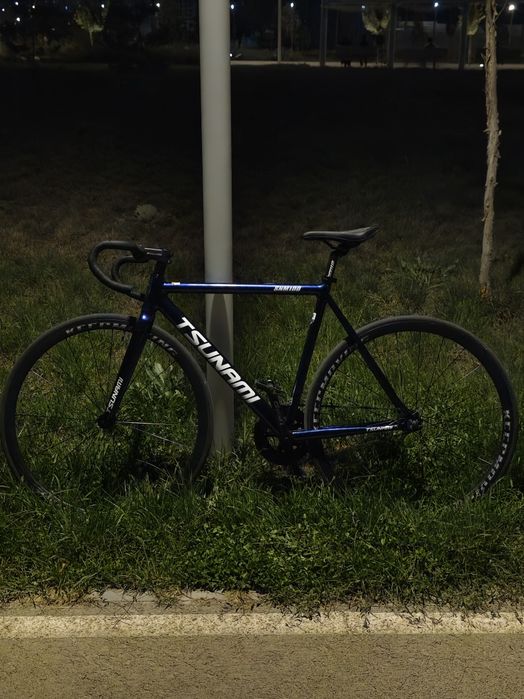 Tsunami SNM100 Fix Chameleon