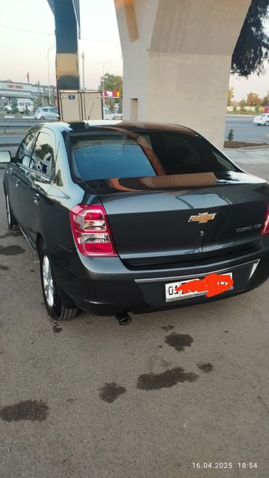 Кобальт мокрый 2024