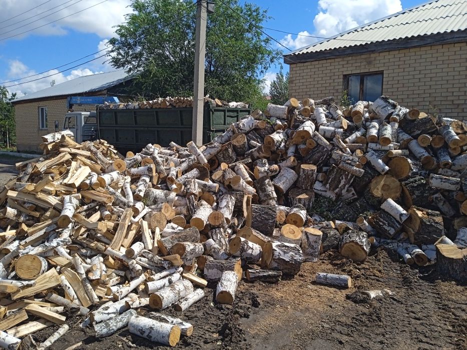 Астана: Дрова берёза, колотые чурки
