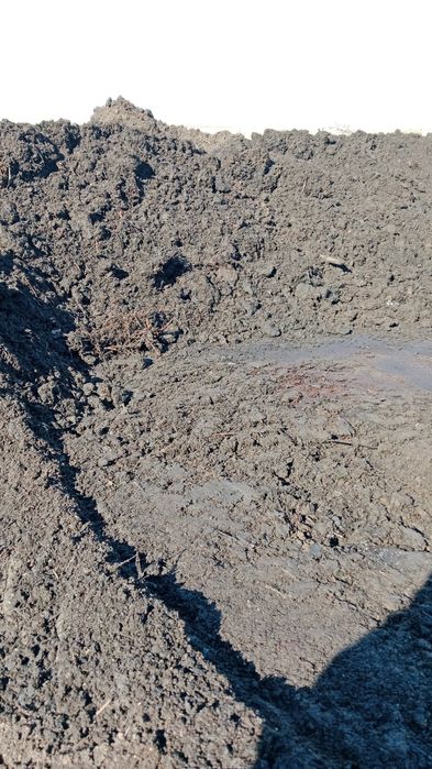 Перегной номер 1