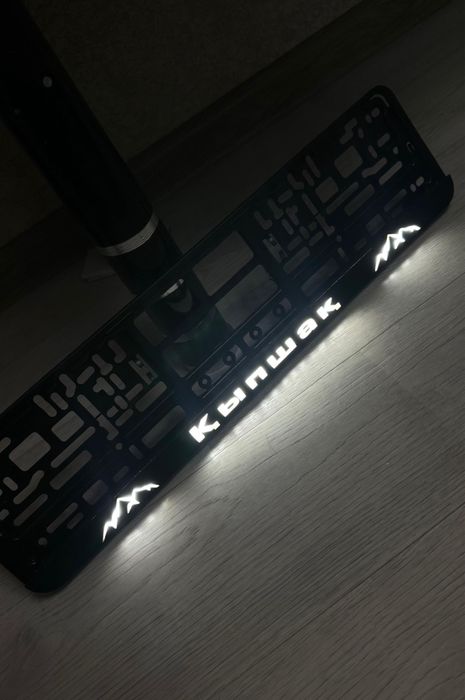 Светящиеся LED именные подномерники.