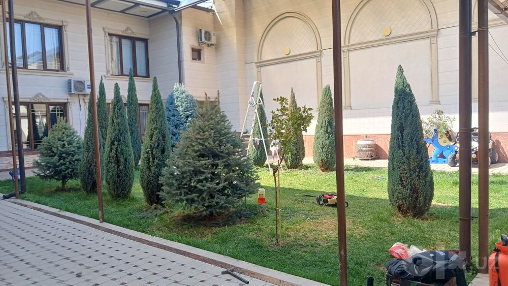Archa kesish dorilash