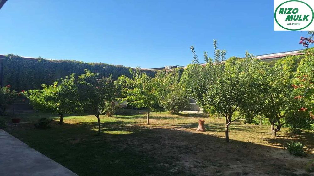 Олмазор туманида файзли ховли сотилади. NR494/21