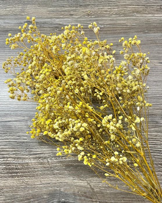 Сухи цветя за аранжиране