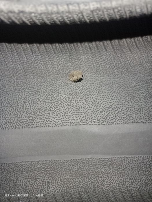 Шипы дөңгелек сатамын