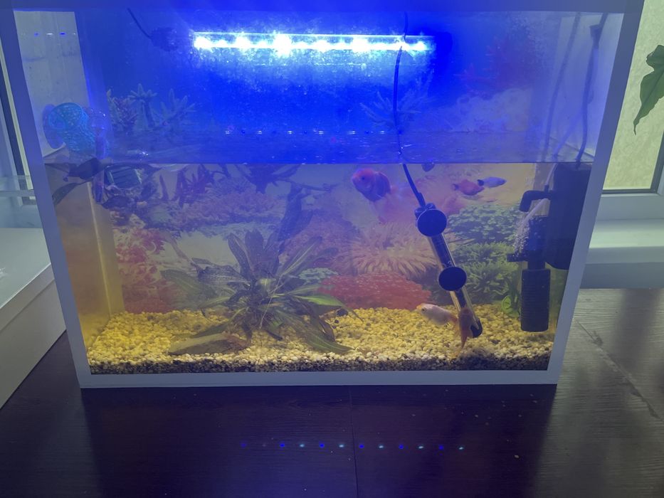 Аквариум 70 литров